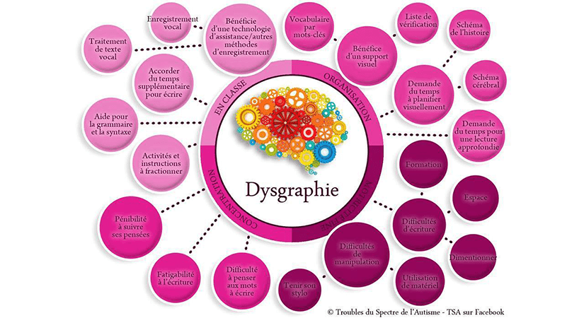 La Dyslexie : Les différents types de dyslexie